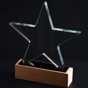 Trophée étoile en bois